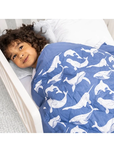 Shop Aden + Anais Baby Boy's Embrace Whale Print Quilted Blanket In Navy