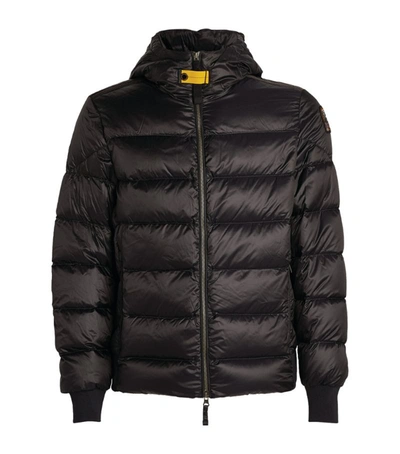 Shop Parajumpers Pharrell Padded Down Jacket In Black