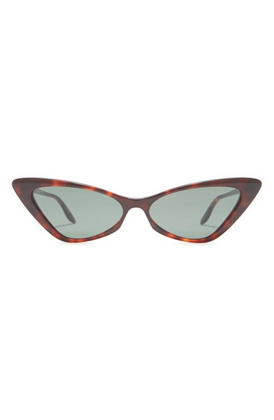 Shop Gucci 61mm Cat Eye Sunglasses In Havana