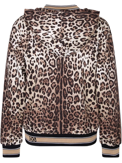 Shop Dolce & Gabbana Leopard Print Sweatshirt In Multi