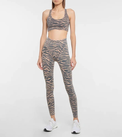 Shop Adam Selman Sport Cross-back Zebra-print Sports Bra In Multicoloured