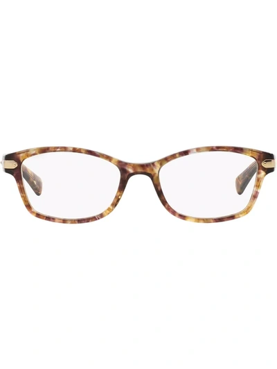 Shop Coach Tag Temple Tortoiseshell Glasses In Brown