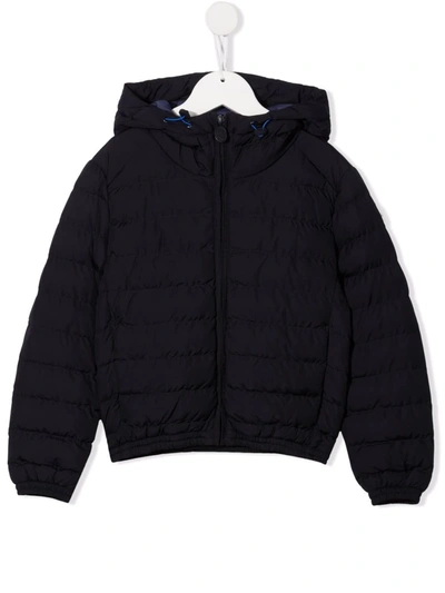 Shop Invicta Padded Long-sleeve Jacket In 蓝色