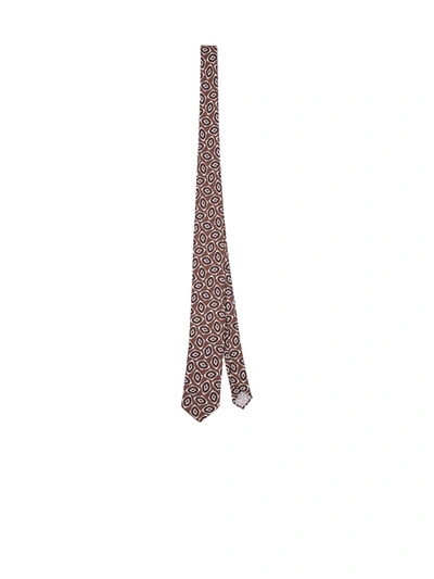 Shop Lardini Silk Tie In Brown