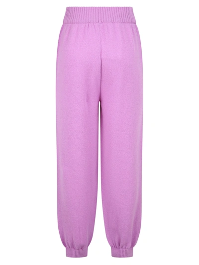 Shop Msgm Merino Wool And Cashmere Trousers In Purple