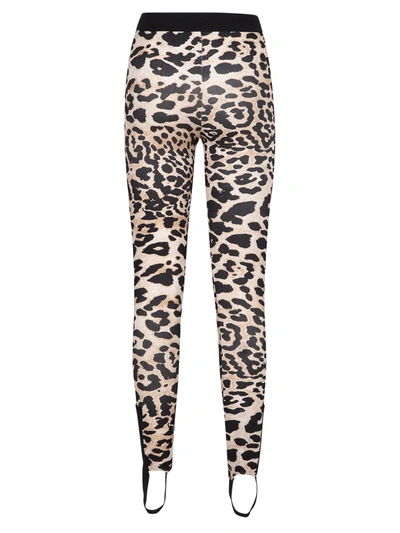 Shop Paco Rabanne Leopard Print Leggings In Multi