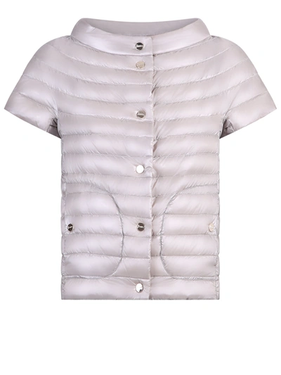 Shop Herno Nylon Padded Jacket In Pink