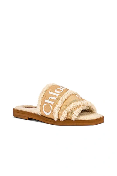 Shop Chloé Woody Slides In Soft Tan