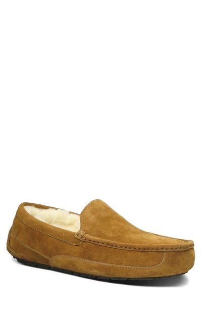 Shop Ugg Ascot Leather Slipper In Chestnut