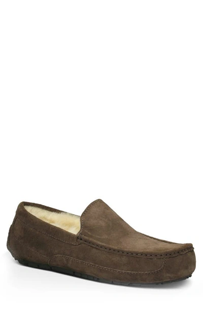 Shop Ugg Ascot Leather Slipper In Espresso