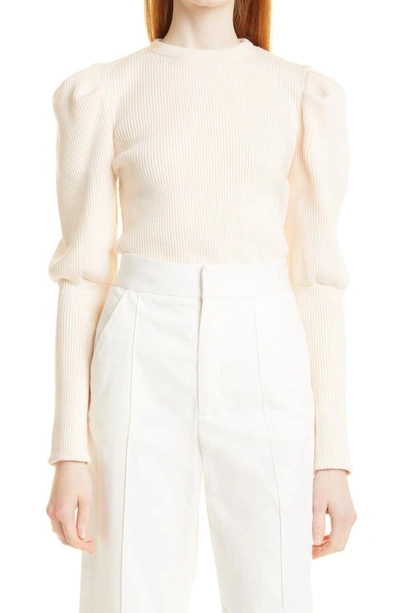 Shop Jonathan Simkhai Standard Levy Ribbed Bishop Sleeve Sweater In Sandstone