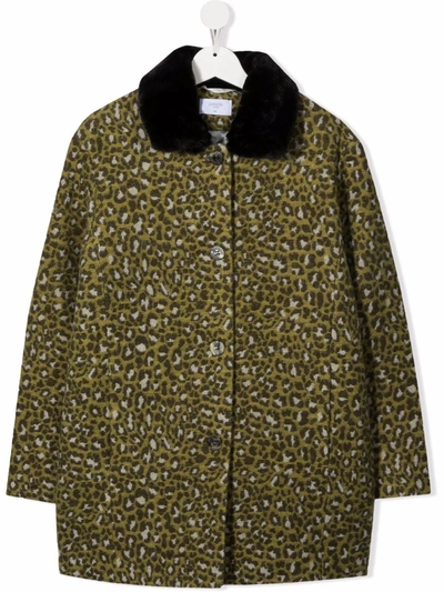 Shop Paade Mode Teen Leopard-print Coat In 绿色
