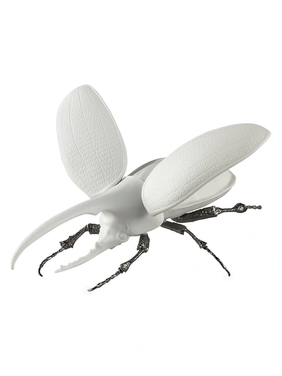 Shop Lladrò Awesome Insects Hercules Beetle Figurine In White