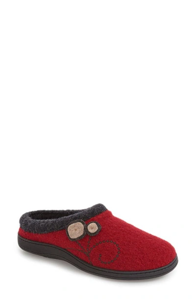 Shop Acorn Dara Wool Blend Slipper In Currant Button Wool