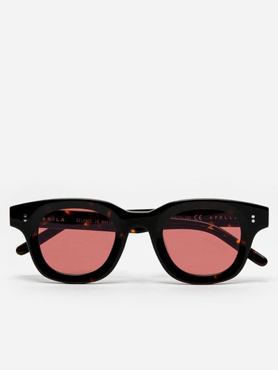 Shop Akila Apollo Sunglasses In Marrone