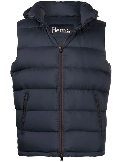 Shop Herno Quilted Hooded Gilet In Blau