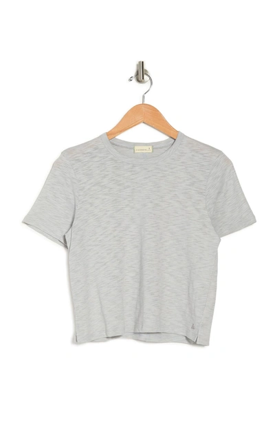 Shop Alternative Hayes Crop Slub Organic Cotton T-shirt In Light Grey