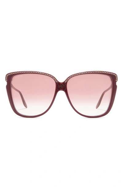 Shop Gucci 63mm Sunglasses In Burgundy