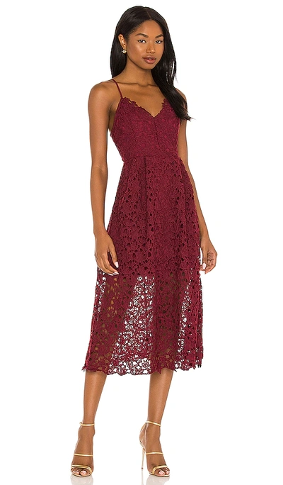 astr label nordstrom