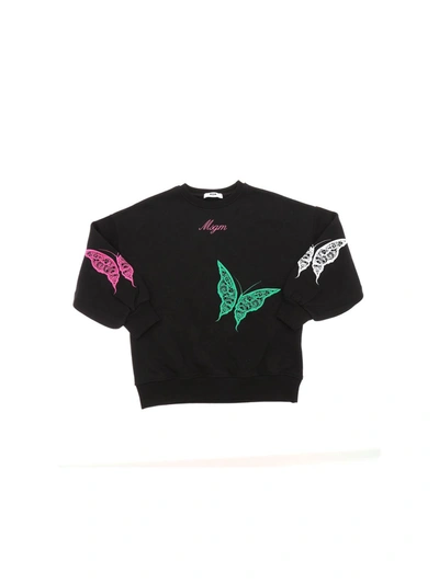 Shop Msgm Butterfly Embroidery Sweatshirt In Black