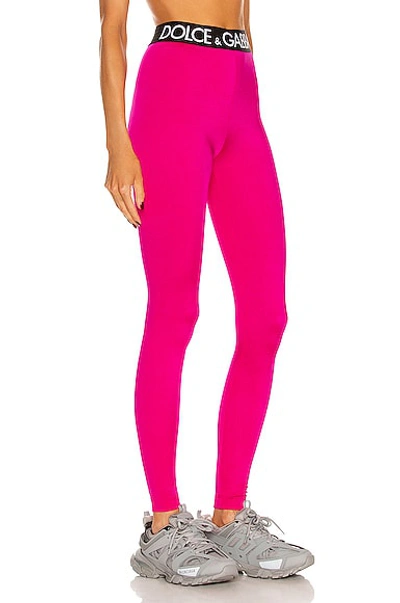 Shop Dolce & Gabbana Elastic Band Legging In Hot Pink