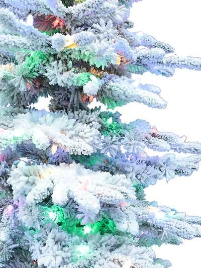 Shop Fraser Hill Farms 12-foot Flocked Mountain Pine Christmas Tree