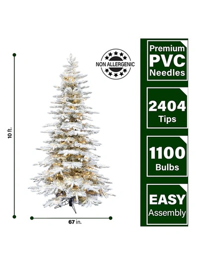 Shop Fraser Hill Farms 10-foot Flocked Mountain Pine Christmas Tree