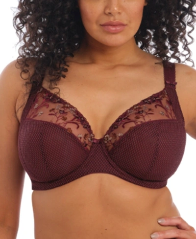 Shop Elomi Full Figure Charley Stretch Lace Bra El4382, Online Only In Aubergine