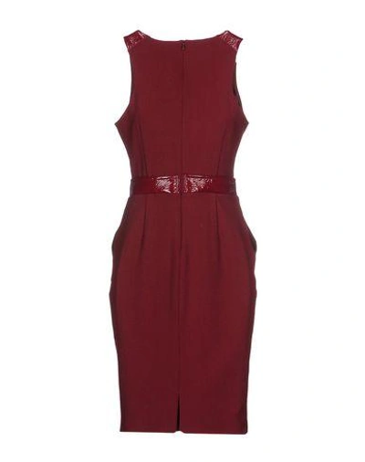 Shop Emporio Armani In Maroon