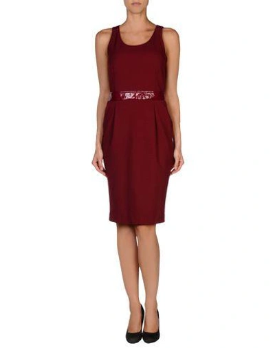 Shop Emporio Armani In Maroon