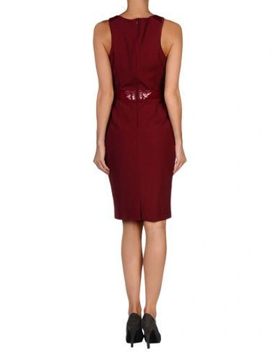 Shop Emporio Armani In Maroon