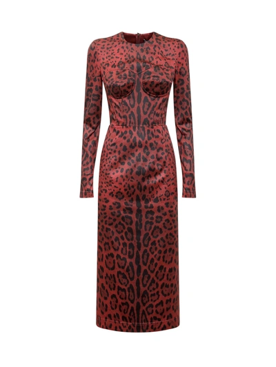 Shop Dolce & Gabbana Animal Print Midi Dress In Red