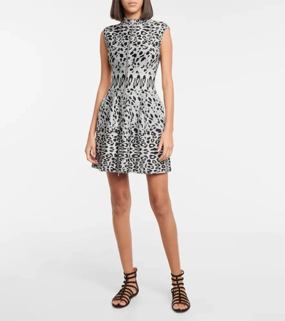 Shop Alaïa Leopard Jacquard Minidress In Grey