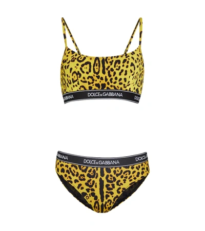 Dolce & Gabbana Neon Leopard-print Bikini With Branded Elastic In Yellow |  ModeSens