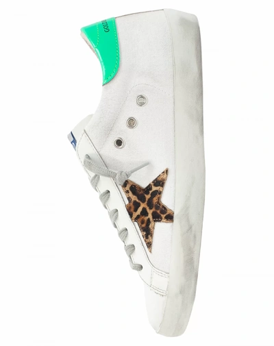 Shop Golden Goose Canvas Superstar Sneakers In White