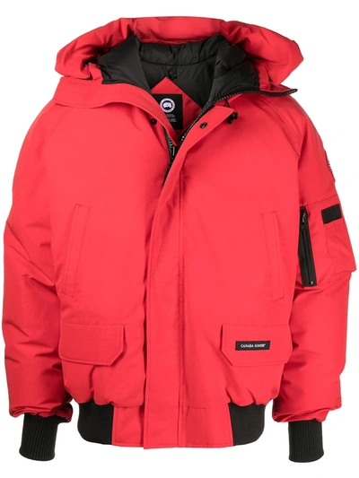 Canada Goose Red Down Chilliwack Bomber Jacket | ModeSens