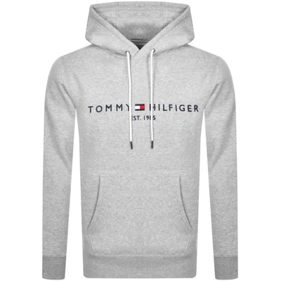 Embroidered Flag Logo Hoodie In Gray Marl grey