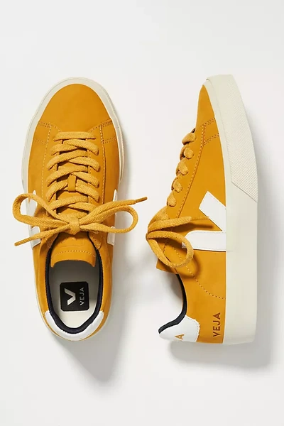 Shop Veja Campo Leather Sneakers In Yellow