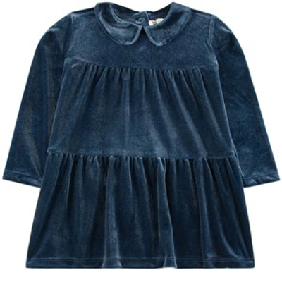 Shop Sproet And Sprout Kids In Blue