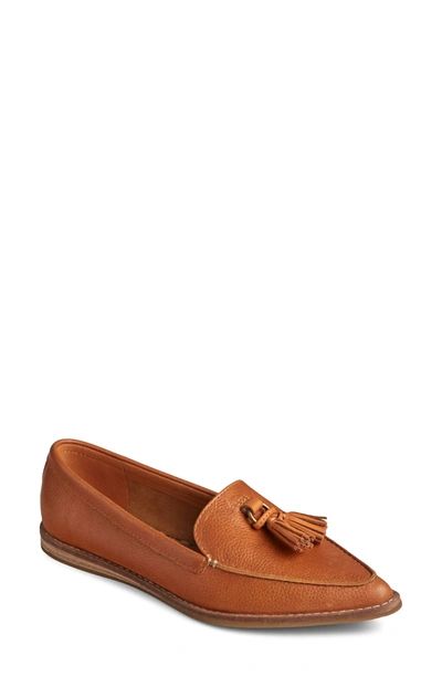 Shop Sperry Saybrook Loafer In Tan Tumbled Leather