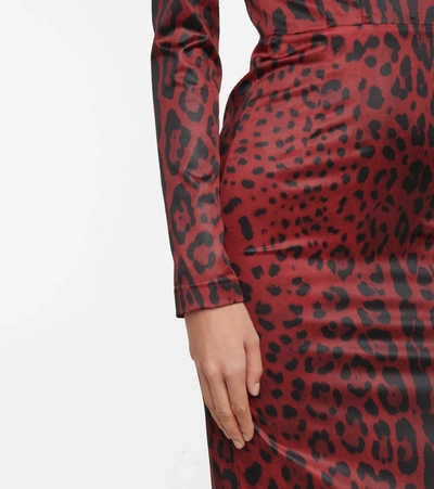 Shop Dolce & Gabbana Leopard-print Midi Dress In Red