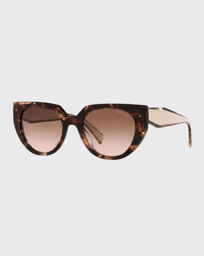 Shop Prada Oversized Acetate Cat-eye Sunglasses In Caramel