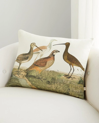 Shop John Derian Birds Of A Feather Parchment Pillow - 18" X 24"