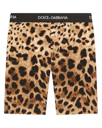 Shop Dolce & Gabbana Girl's Leopard-print Logo Biker Shorts In Hy13m Leo New