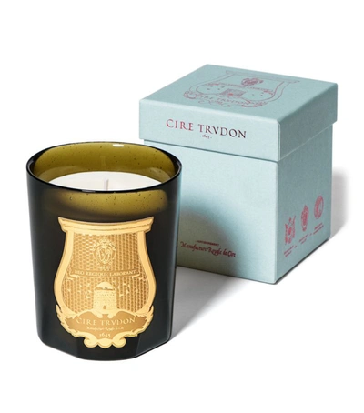 Shop Cire Trudon Trudon Madeleine Candle In Green