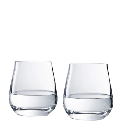 Shop Baccarat Large Tumblers In Multi