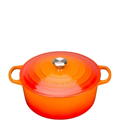 Shop Le Creuset Cast Iron Round Casserole Dish (30cm) In Orange