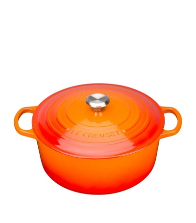 Shop Le Creuset Cast Iron Round Casserole Dish (26cm) In Orange