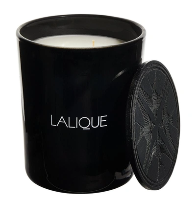 Shop Lalique Figuier Amalfi Candle (600g) In Black