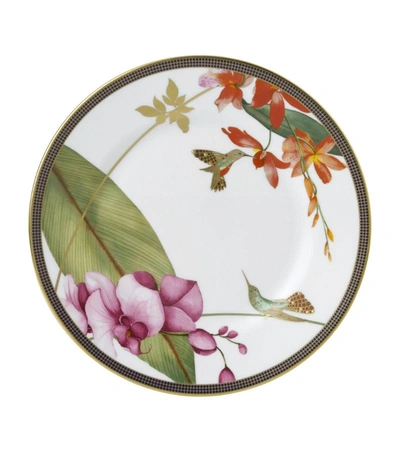Shop Wedgwood Hummingbird Plate (20.5cm) In Multi